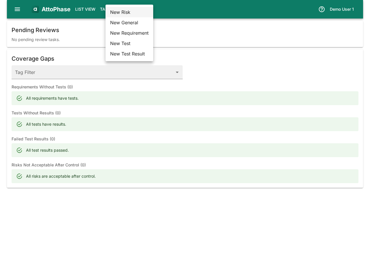 Create menu showing New Risk option