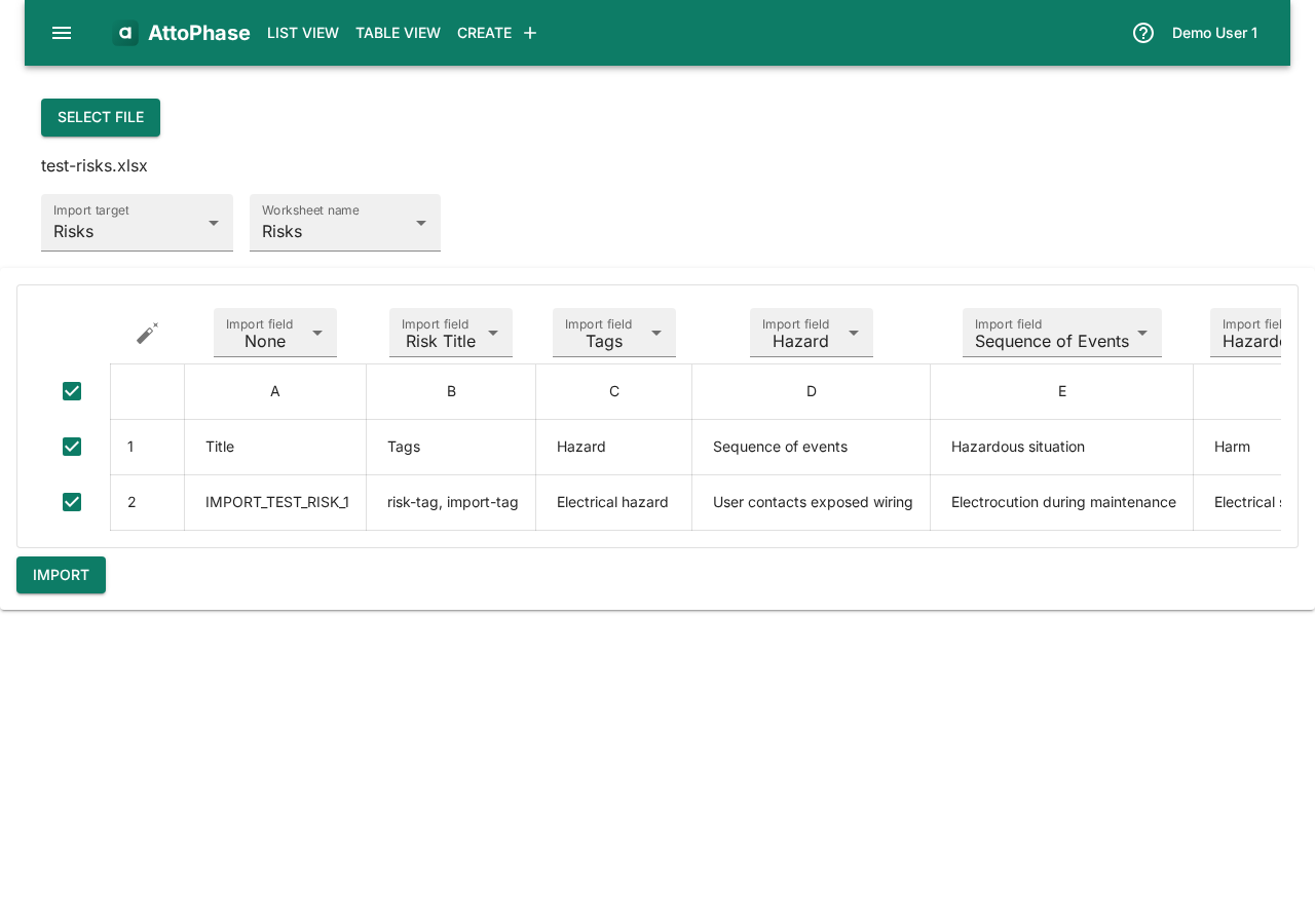Import page with risk file loaded and Risks target selected